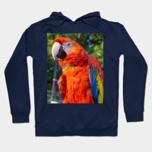 WORLD WILDLIFE DAY Hoodie